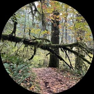 Meet your Posher, Tony